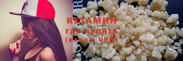 мдпв Гусев