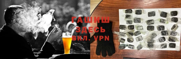 мдпв Гусев