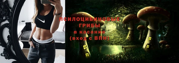 метадон Гусиноозёрск