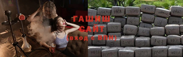 мдпв Гусев