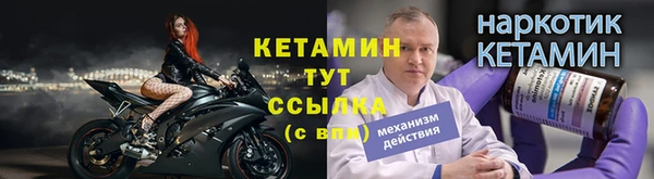 мдпв Гусев