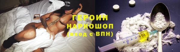 мдпв Гусев