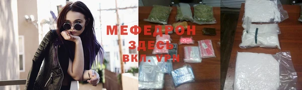 мдпв Гусев