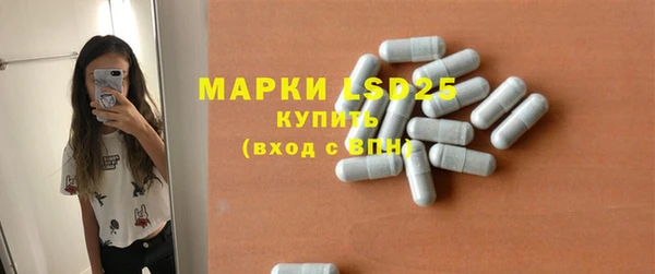 мдпв Гусев