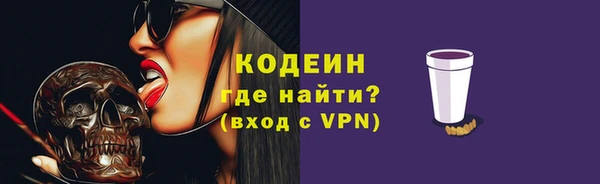 мдпв Гусев