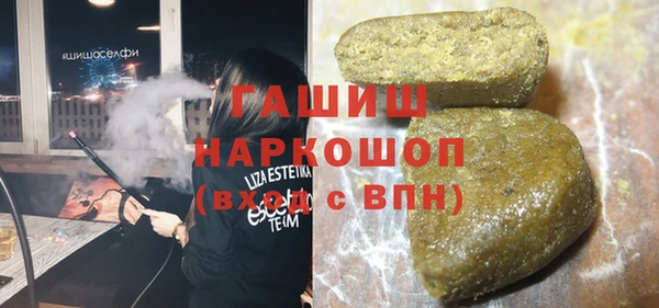 мдпв Гусев