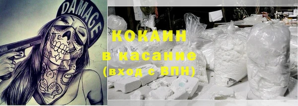 мдпв Гусев