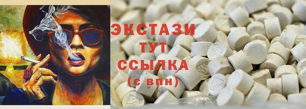 мдпв Гусев