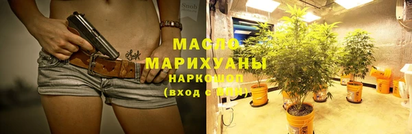 мдпв Гусев