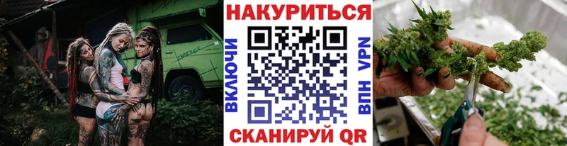 Бошки марихуана конопля  Купить  Усть-Джегута 